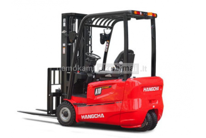 Elektrinio auto krautuvo vairuotojas (a)