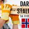 Darbas Staliams Norvegijoje