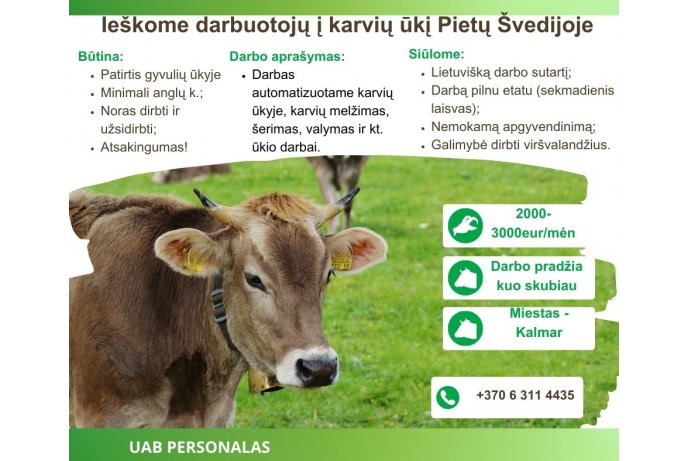 Karvių ūkis Pietų Švedijoje