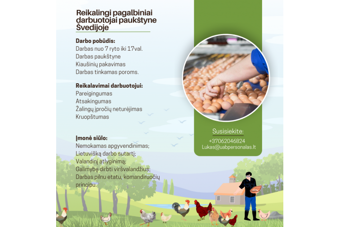 Pagalbiniai darbuotojai paukštyne Švedijoje